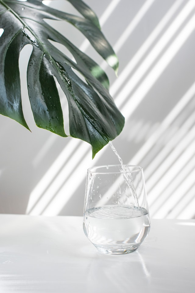 globencer-dL09wmeZGaI-unsplash